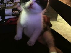 -MIKAKU(万达广场上海宝山店)