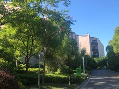 -上海崇明金茂凯悦酒店