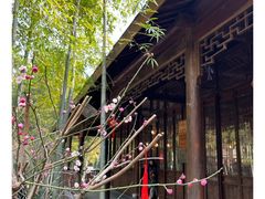 -树山生态村