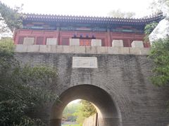 -云岗森林公园