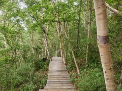 -白草畔自然风景区