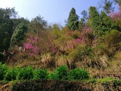 -天台山赤城山景区