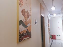 -雅曼妮spa美容养生