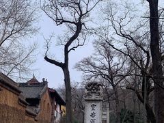 -灵谷景区