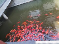 -浙江省博物馆(孤山馆区)