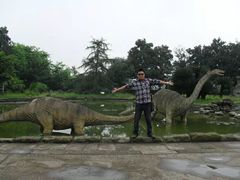 -自贡恐龙博物馆