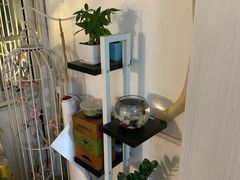 -蘑菇圈·云南野生菌菇炒饭·巷口食堂(悦荟店)