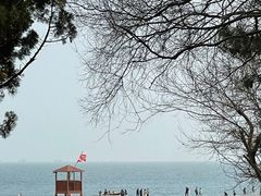 -青岛第二海水浴场