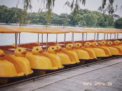 -北陵公园