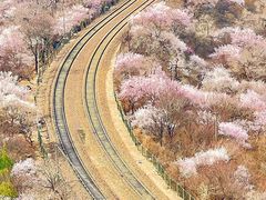 -居庸关长城