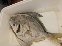 -盒马鲜生(悦峰店)