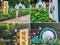 -广州莲花山旅游区
