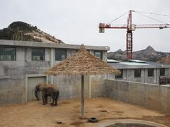 -西霞口神雕山野生动物世界