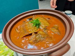 -丁老爷子苏香圆