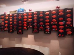 -龙海鲜螃蟹王(宏茂桥店)