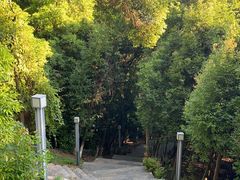 -柳州白莲洞洞穴科学博物馆