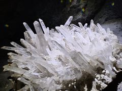 -正佳自然科学博物馆