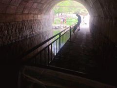 -白水寺森林公园