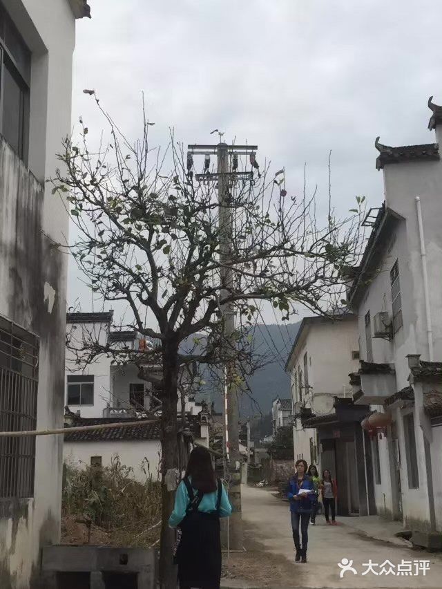 晚上有静谧的奶茶店也有嗨到爆的酒吧，看自己的选择咯