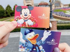 -上海迪士尼度假区