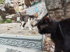 -宝通禅寺