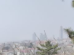 -信号山公园