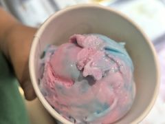 -iceason爱茜茜里·意大利健康冰淇淋(骑龙巷店)