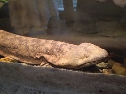 -Zoolung Zoolung动物主题公园(海信广场店)