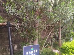 -燊海井