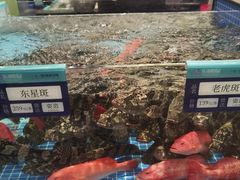 -东海怡品海鲜豆捞(舟宿夜江店)