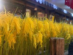-昆虫窝子·特色云南菜(拓东路总店)