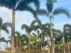 -白沙门生态公园