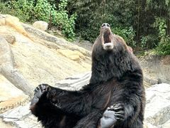 -昆明动物园