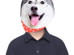 -小树照相馆·证件照(打浦桥店)