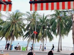 -盘古掌冲浪俱乐部(日月湾店)