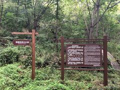 -大岭沟猕猴桃谷风景区
