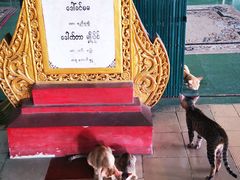 -ခြောက်ထပ်ကြီးရွှေသာလျောင်းဘုရားကြီး