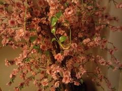 -鸥迪足道(建大店)