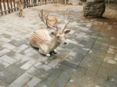 -西安秦岭野生动物园