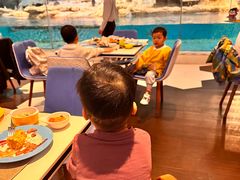 -帝企鹅自助餐厅•儿童岛•真企鹅(长隆企鹅酒店)