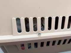 -美联众合动物医院(·中兽医·疑难杂症·严家桥分院)