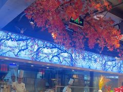 -鸽子窝(宋庄店)