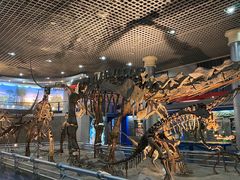 -国家自然博物馆