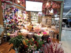 -丽江三义国际机场