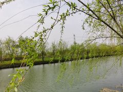 -广富林郊野公园