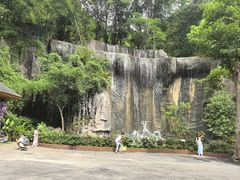 -西双版纳原始森林公园