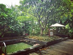 -厦门日月谷温泉渡假村