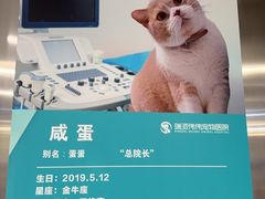 -伟伟宠物医院·CT影像中心·瑞派犬猫综合性门诊(汉口总院)