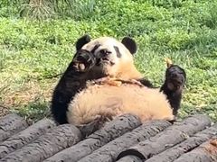 -西安秦岭野生动物园