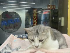 -谜盒子奇幻密室(南屏店)